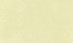 Decorazza STUCCO VENEZIANO / Цвет #SV  10-49